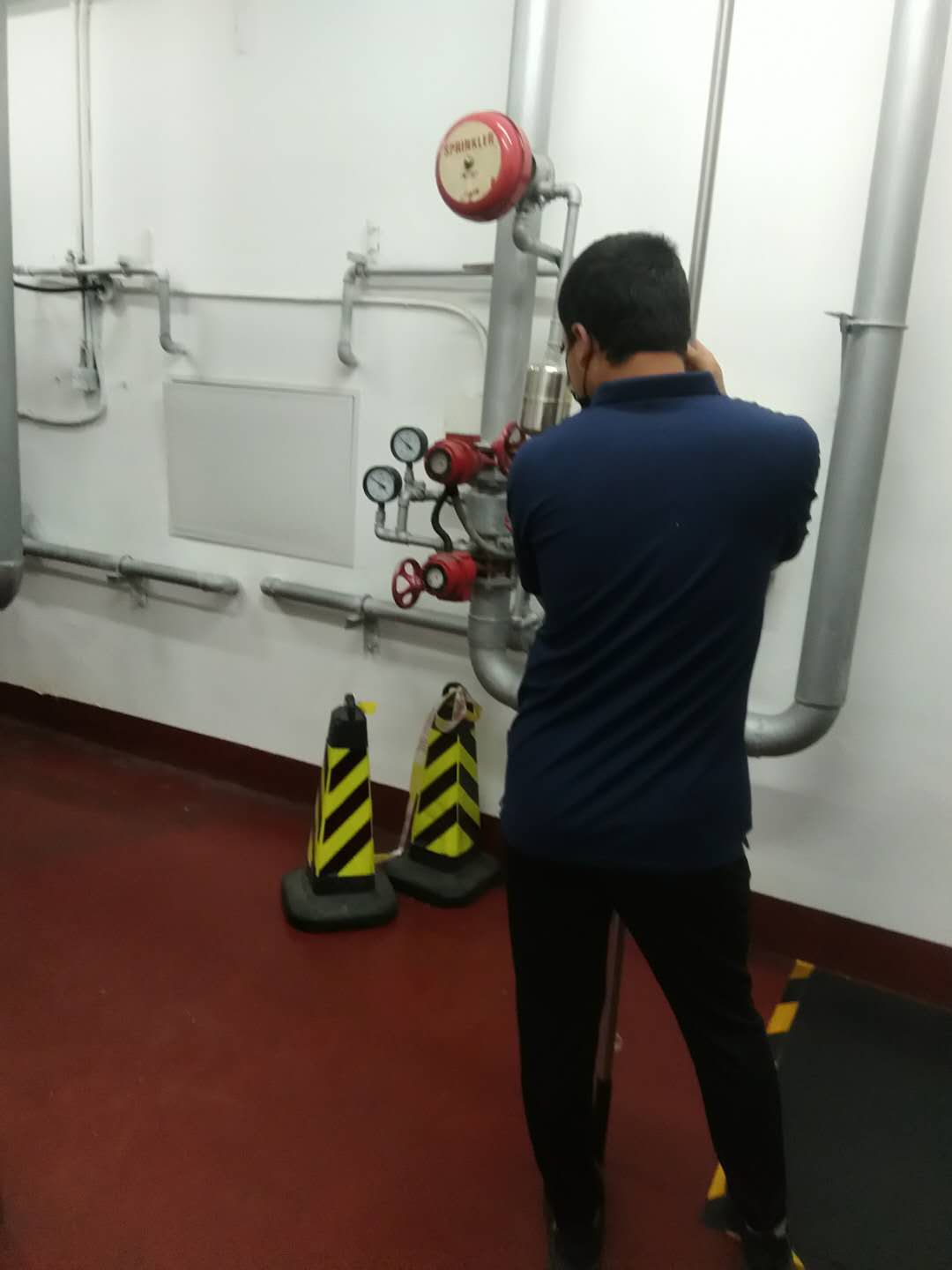 顺义小蝌蚪在线看免费视频黄维保 顺义小蝌蚪在线看免费视频黄维保