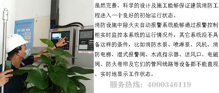 小蝌蚪在线看免费视频黄维保公司